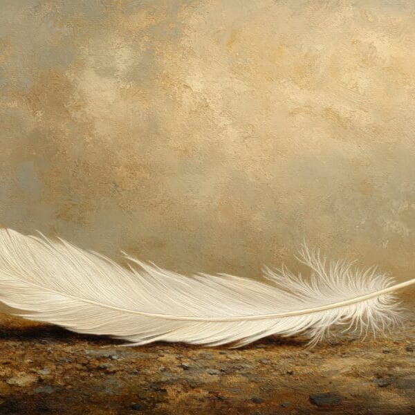 Delicate white feather on textured surface